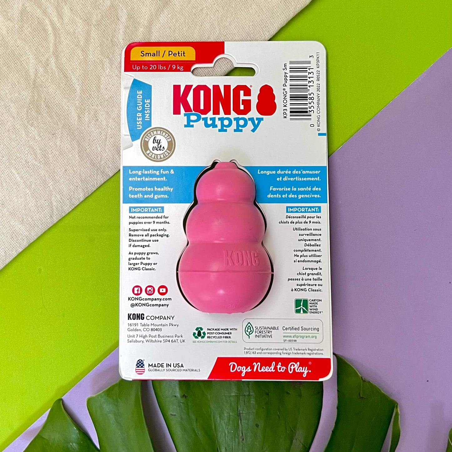 Kong Puppy